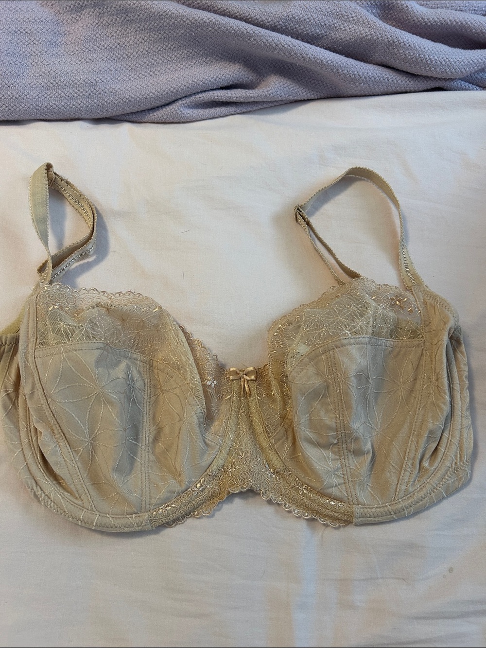 Panache Lace Underwire Bra in Champagne Gold
